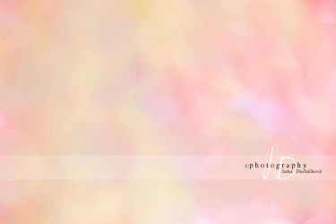 JD PHOTOGRAPHY  Fotopozadí - Vánoce - světýlka 12