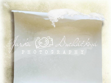 JD PHOTOGRAPHY  Fotopozadí - ZIMA 92