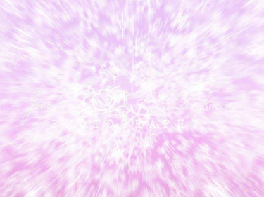 JD PHOTOGRAPHY  Fotopozadí - ZIMA 49