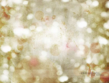 JD PHOTOGRAPHY  Fotopozadí - Vánoční světýlkování 5