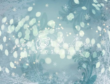 JD PHOTOGRAPHY  Fotopozadí - SVÉTÝLKA 45