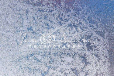 JD PHOTOGRAPHY  Fotopozadí - JINOVATKA 3