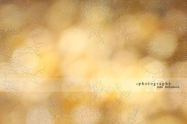 JD PHOTOGRAPHY  Fotopozadí - ZIMA 30