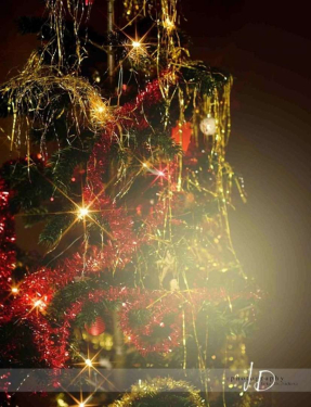 JD PHOTOGRAPHY  Fotopozadí - VÁNOCE - Svítící strom - okouzlení