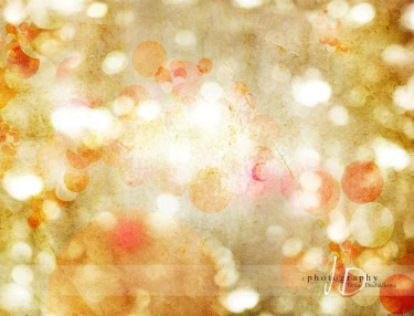 JD PHOTOGRAPHY  Fotopozadí - Vánoční světýlkování 1