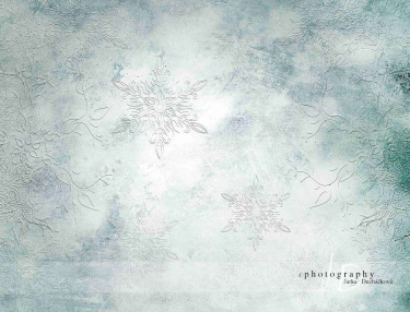 JD PHOTOGRAPHY  Fotopozadí - VÁNOCE - VLOČKY 4