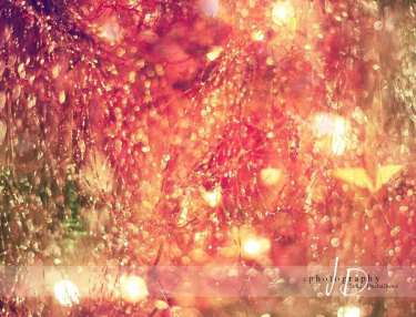 JD PHOTOGRAPHY  Fotopozadí - VÁNOCE 3