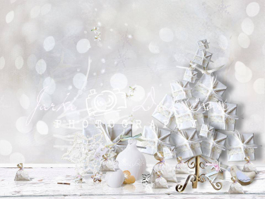 JD PHOTOGRAPHY  Fotopozadí - DESIGN 567