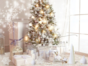 JD PHOTOGRAPHY  Fotopozadí - VÁNOČNÍ ARANŽOVANÉ 53