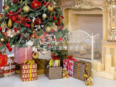 JD PHOTOGRAPHY  Fotopozadí - VÁNOČNÍ ARANŽOVANÉ 18