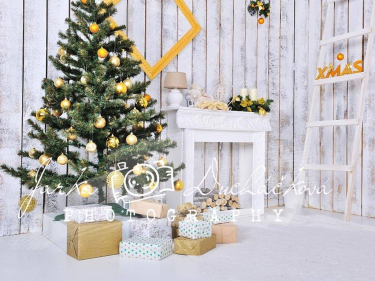 JD PHOTOGRAPHY  Fotopozadí VÁNOČNÍ ARANŽOVANÉ 14