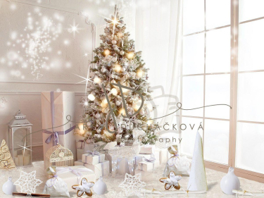 JD PHOTOGRAPHY  Fotopozadí - VÁNOČNÍ ARANŽOVANÉ 52
