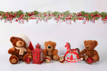 JD PHOTOGRAPHY  Fotopozadí aranžované vánoční 12