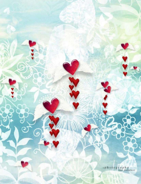 JD PHOTOGRAPHY  Fotopozadí - BÍLÁ LÁSKA V OBLACÍCH 4