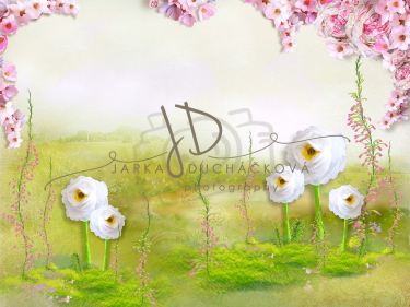 JD PHOTOGRAPHY  Fotopozadí - DESIGN 692