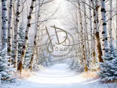 Fotopozadí - Cesta sněhová 6