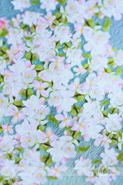 JD PHOTOGRAPHY  Fotopozadí - JABLOŇ 6