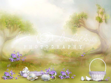 JD PHOTOGRAPHY  Fotopozadí - DESIGN 509