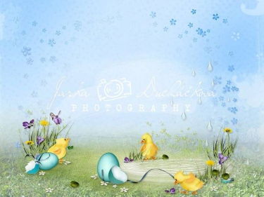 JD PHOTOGRAPHY  Fotopozadí - JARO VELIKONOCE 6