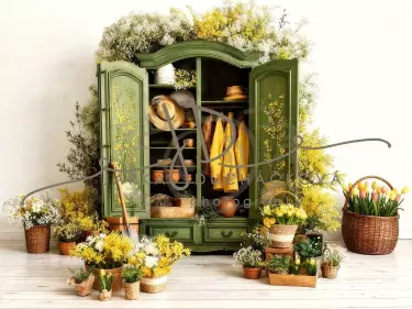 Fotopozadí - SPRING BOX 64