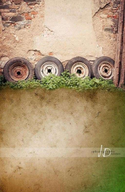 JD PHOTOGRAPHY  Fotopozadí - stěna+podlaha - KLUK Z FARMY