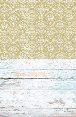 JD PHOTOGRAPHY  Fotopozadí - SPOJENÉ POZADÍ 1