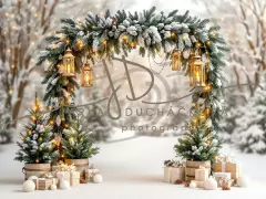 Fotopozadí - Brána v lese 7