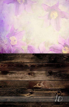 JD PHOTOGRAPHY  Fotopozadí - SPOJENÉ POZADÍ 82