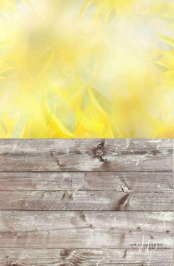 JD PHOTOGRAPHY  Fotopozadí - SPOJENÉ POZADÍ 92