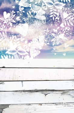 JD PHOTOGRAPHY  Fotopozadí - SPOJENÉ POZADÍ 109