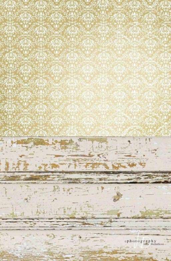 JD PHOTOGRAPHY  Fotopozadí - SPOJENÉ POZADÍ 123