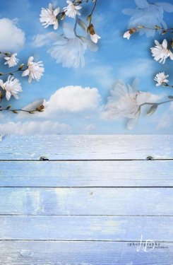 JD PHOTOGRAPHY  Fotopozadí - SPOJENÉ POZADÍ 173