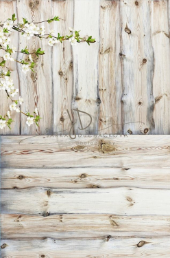 JD PHOTOGRAPHY  Fotopozadí - spojené 280