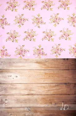 JD PHOTOGRAPHY  Fotopozadí - SPOJENÉ POZADÍ 164