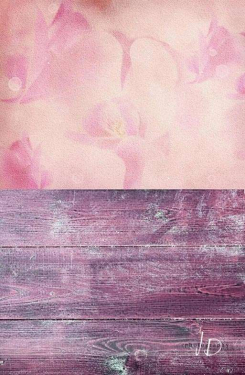 JD PHOTOGRAPHY  Fotopozadí - SPOJENÉ POZADÍ 104