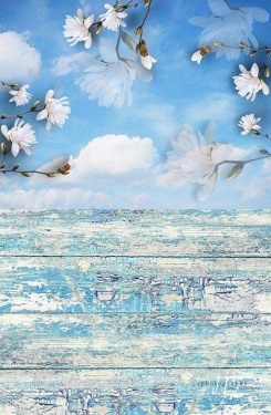 JD PHOTOGRAPHY  Fotopozadí - SPOJENÉ POZADÍ 69