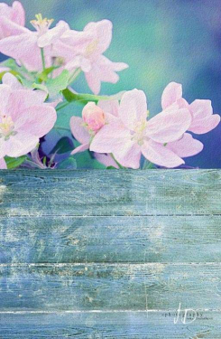 JD PHOTOGRAPHY  Fotopozadí - SPOJENÉ POZADÍ 72