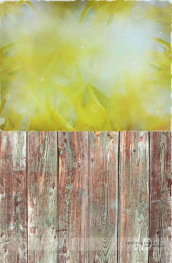 JD PHOTOGRAPHY  Fotopozadí - SPOJENÉ POZADÍ 121