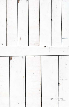 JD PHOTOGRAPHY  Fotopozadí - SPOJENÉ POZADÍ 139