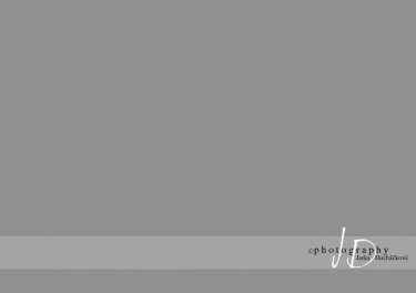 JD PHOTOGRAPHY  Fotopozadí - jednobarevné ŠEDÉ