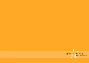 JD PHOTOGRAPHY  Fotopozadí - jednobarevné ORANŽOVÉ
