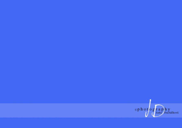 JD PHOTOGRAPHY  Fotopozadí - jednobarevné MODRÉ tmavě