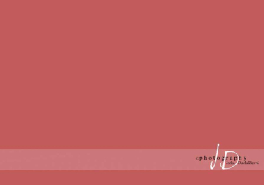 JD PHOTOGRAPHY  Fotopozadí - jednobarevné HNĚDO ČERVENÉ