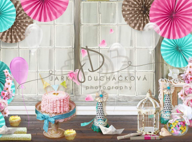 JD PHOTOGRAPHY  Fotopozadí - NAROZENINY 75