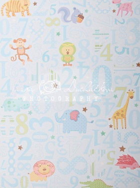 JD PHOTOGRAPHY  DESIGN 230