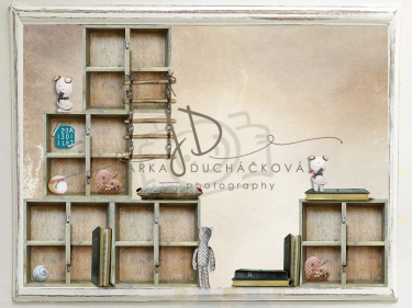 JD PHOTOGRAPHY  Fotopozadí - DESIGN 703