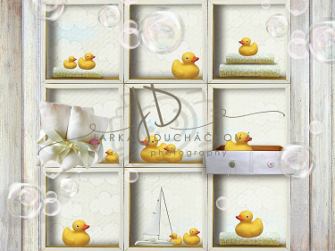 JD PHOTOGRAPHY  Fotopozadí - KAČENKY 2
