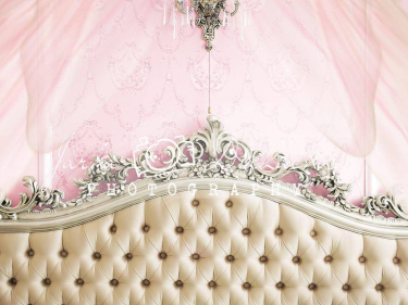 JD PHOTOGRAPHY  Fotopozadí - POHOVKA luxusní ze zámku 13