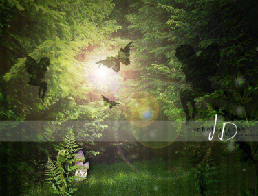 JD PHOTOGRAPHY  Fotopozadí - LES z pohádky 2