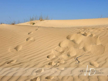 JD PHOTOGRAPHY  Fotopozadí - KRAJINA - příroda 5